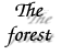 Forest